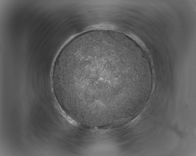 X0000076061248200610061528