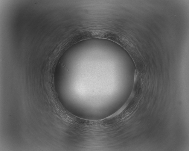 X0000076061249200610061527