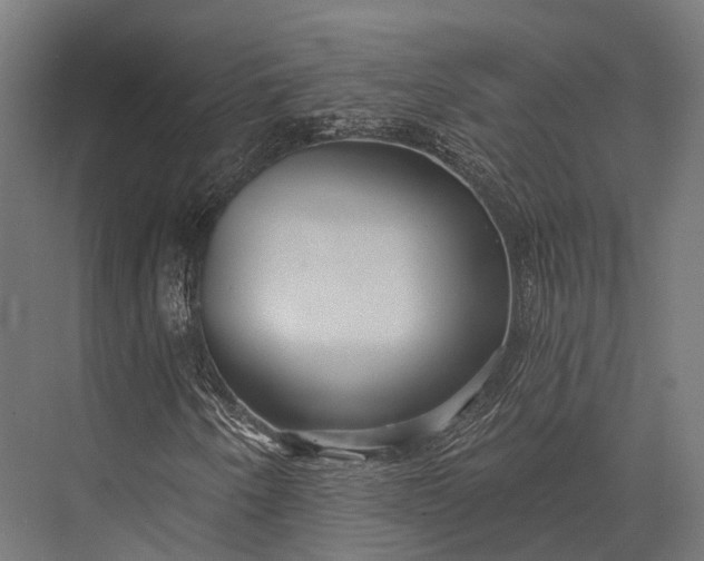 X0000076061250200610061527