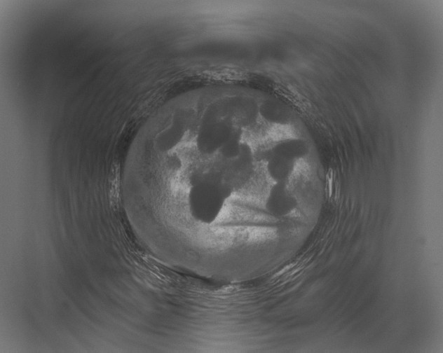 X0000076061251200610061527