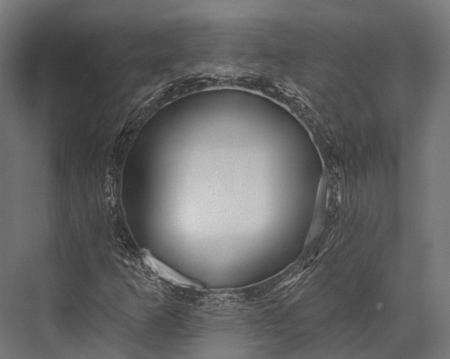 X0000076061253200610061527