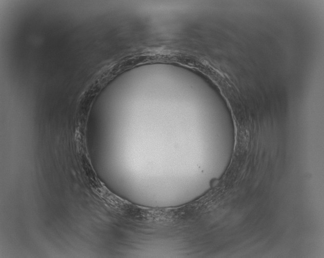 X0000076061254200610061527