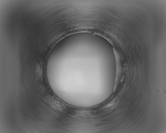 X0000076061257200610061527