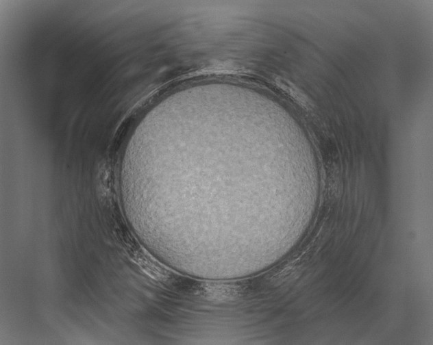 X0000076061258200610061527