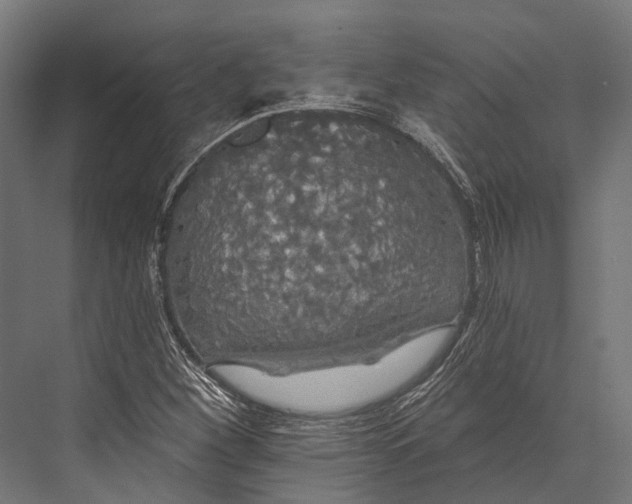 X0000076061260200610061527