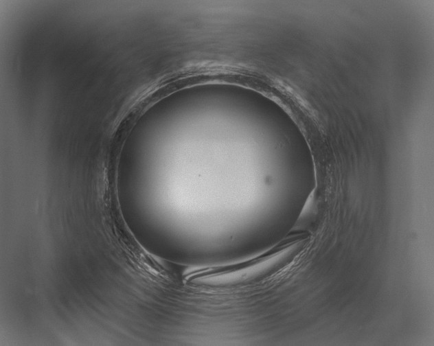 X0000076061261200610061527