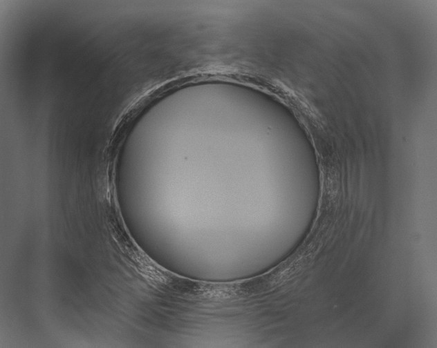 X0000076061262200610061527