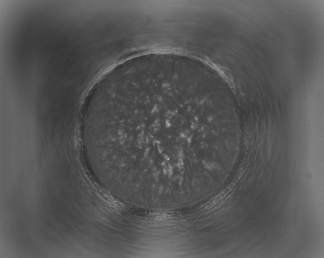 X0000076061263200610061527