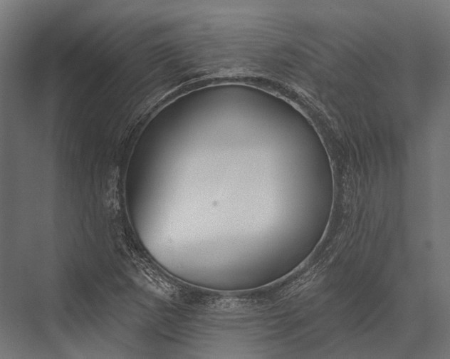 X0000076061265200610061527