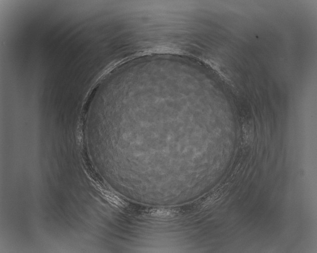 X0000076061266200610061527