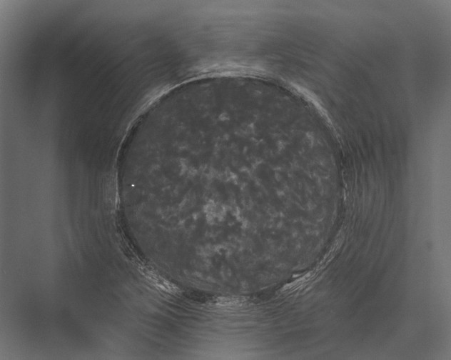 X0000076061267200610061527