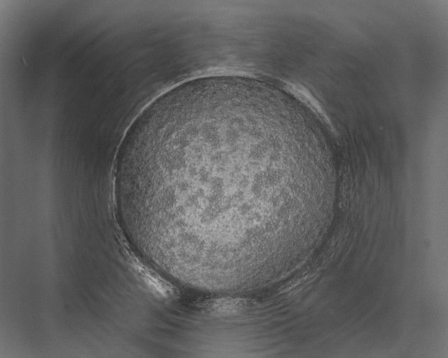 X0000076061268200610061527