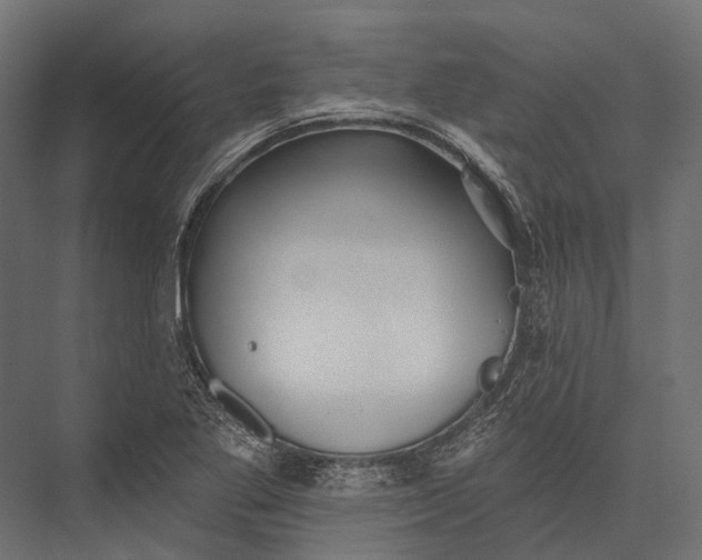 X0000076061269200610061527