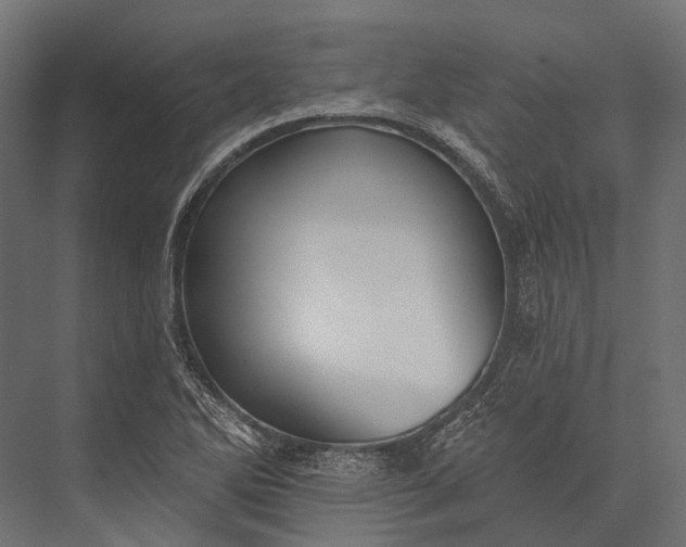 X0000076061270200610061527