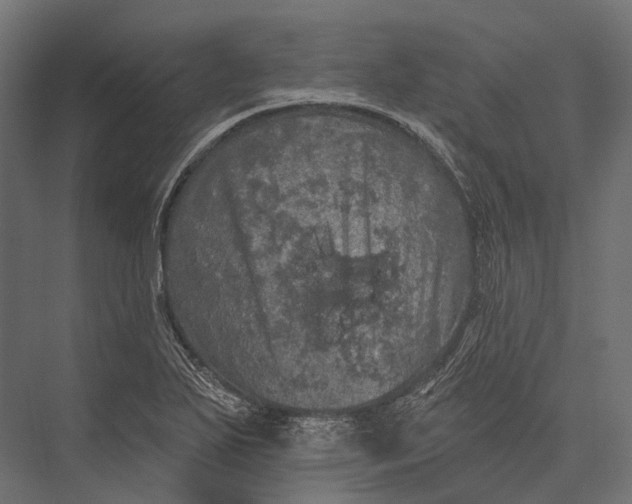 X0000076061271200610061527