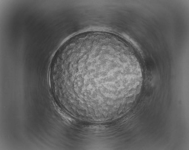 X0000076061272200610061527