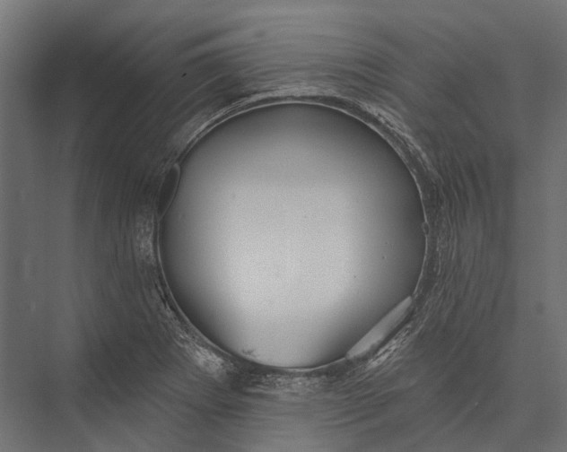 X0000076061273200610061527