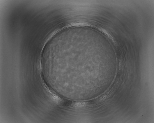 X0000076061274200610061527