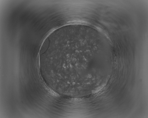 X0000076061275200610061527