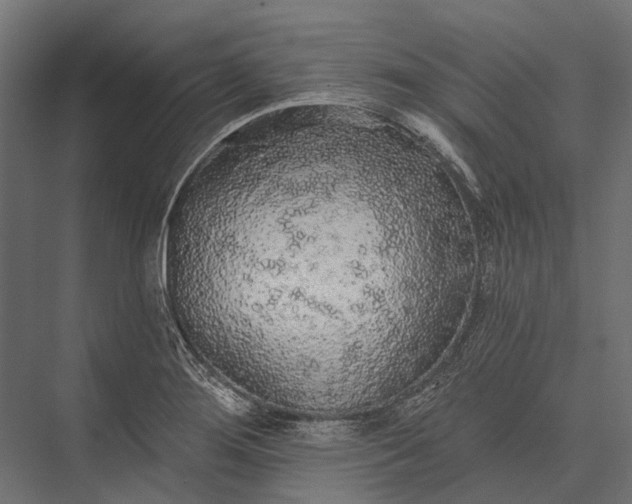 X0000076061276200610061527