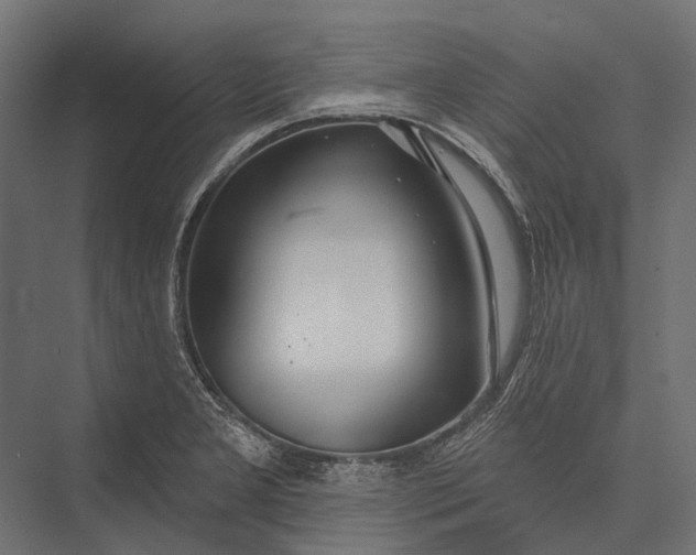 X0000076061277200610061527