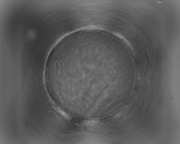 X0000076061278200610061527