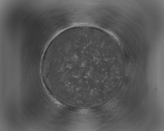 X0000076061279200610061527