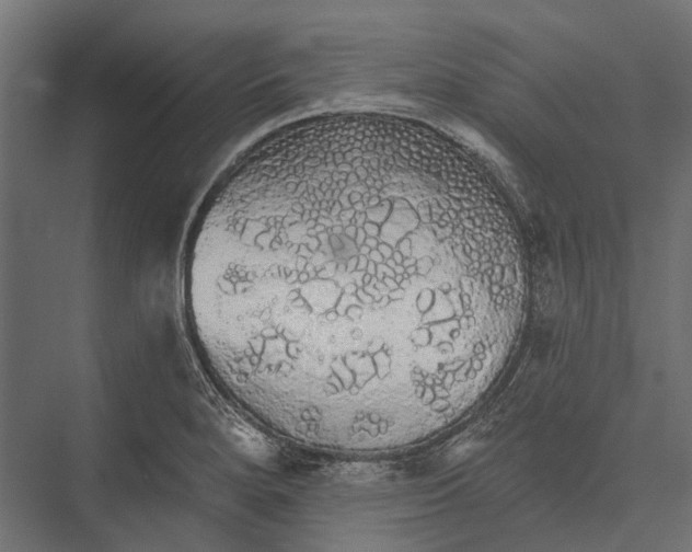 X0000076061280200610061526