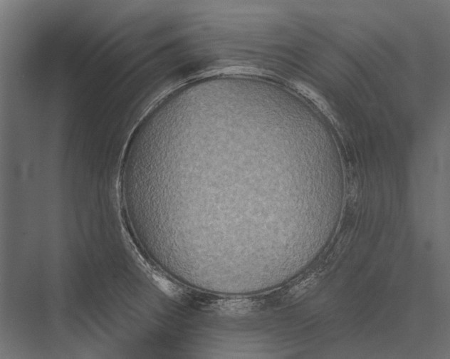 X0000076061282200610061526