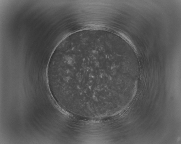 X0000076061283200610061526