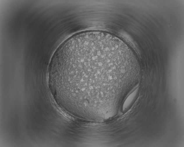 X0000076061284200610061526