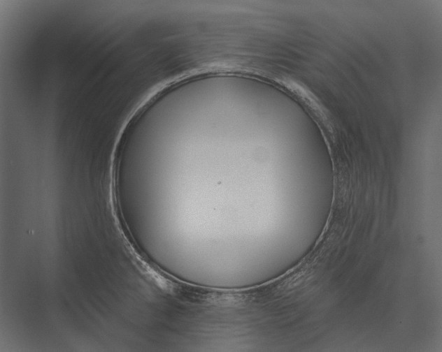 X0000076061286200610061526