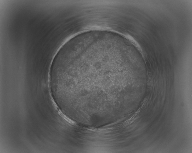 X0000076061287200610061526