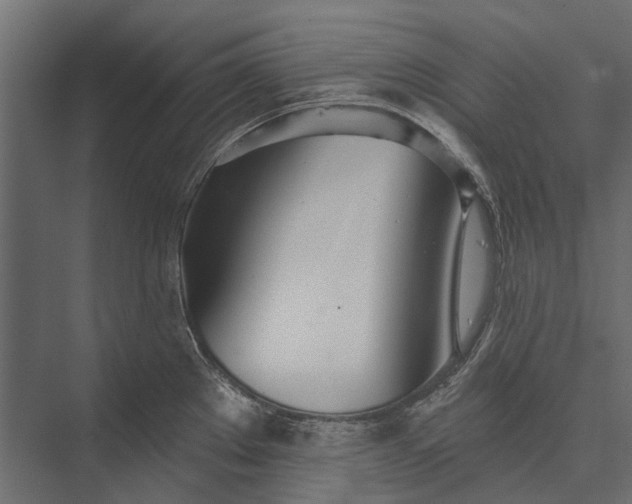 X0000076061289200610061526