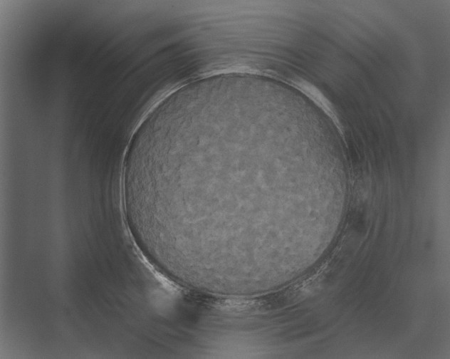 X0000076061290200610061526