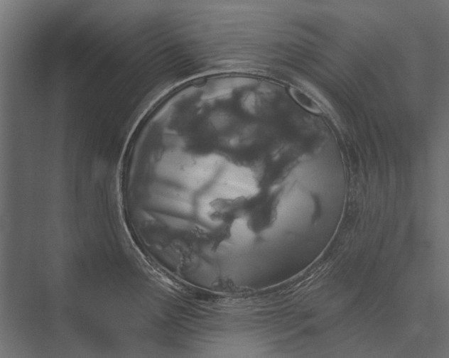 X0000076061291200610061526