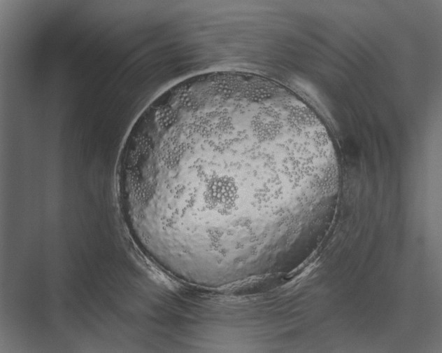 X0000076061292200610061526