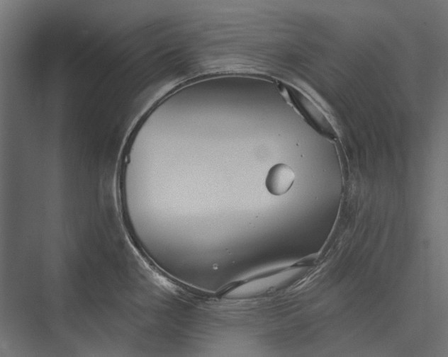 X0000076061293200610061526