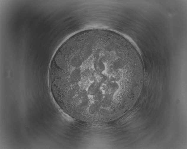 X0000076061295200610061526