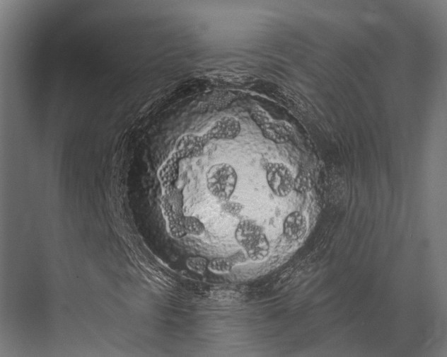 X0000076061297200610061525