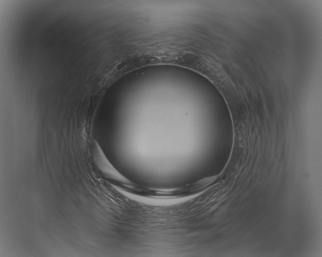 X0000076061298200610061525