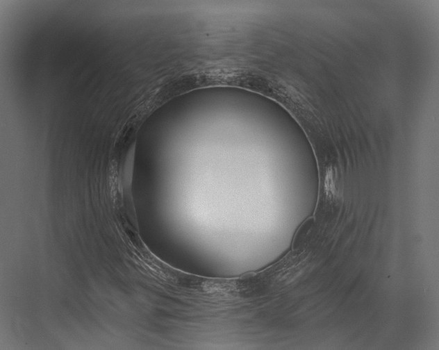 X0000076061299200610061525