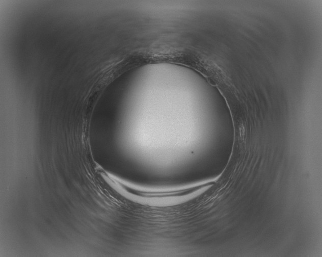 X0000076061300200610061525