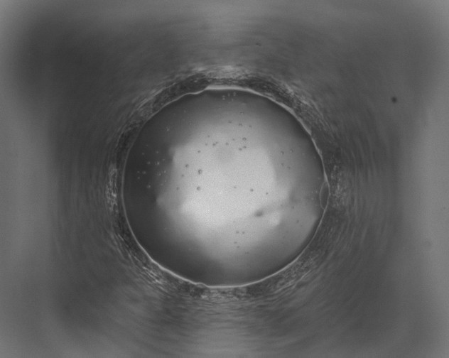 X0000076061301200610061525