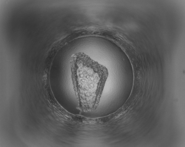 X0000076061302200610061525