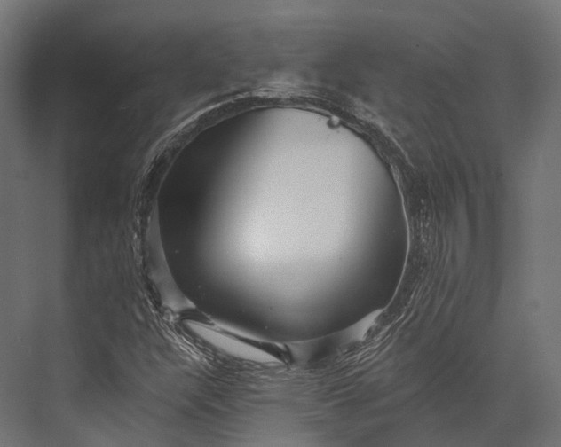 X0000076061304200610061526