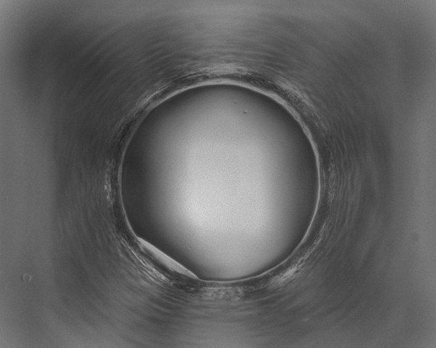 X0000076061305200610061526