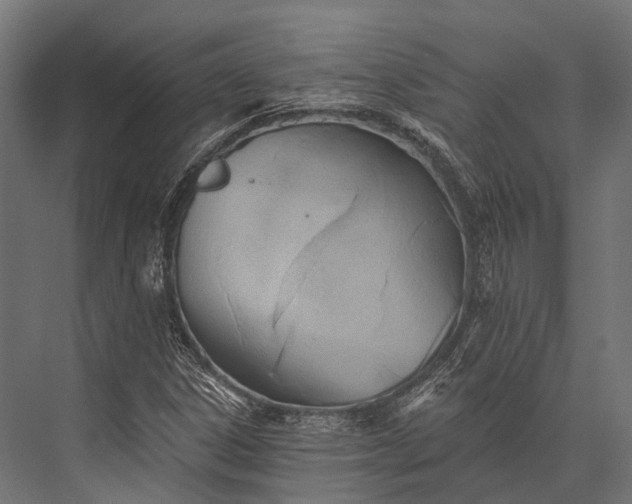 X0000076061306200610061526