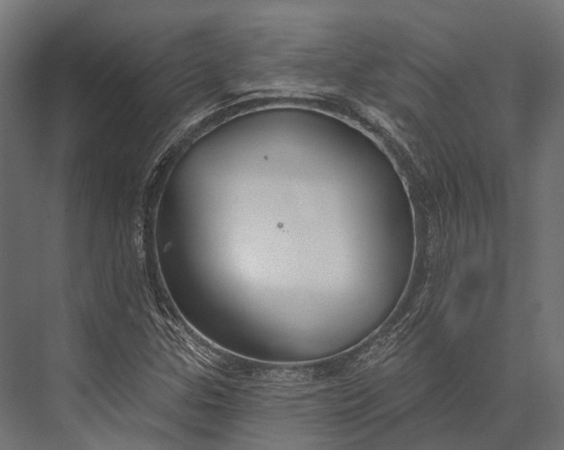 X0000076061307200610061526