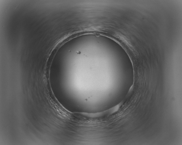 X0000076061308200610061526